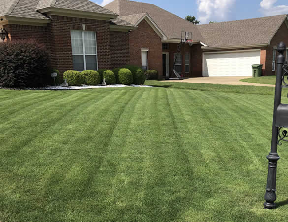 Lawn Care Services in Montgomery AL